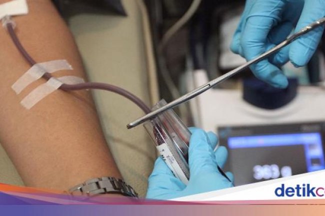 Pemilik Golongan Darah B Disebut Lebih Panjang Umur dan Lambat Menua