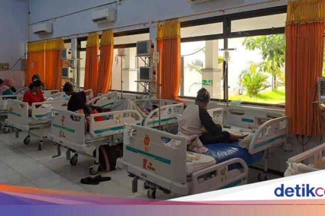 Angka DBD RI Ngegas di Awal 2025, Kemenkes Catat 10 Ribu Kasus-48 Kematian
