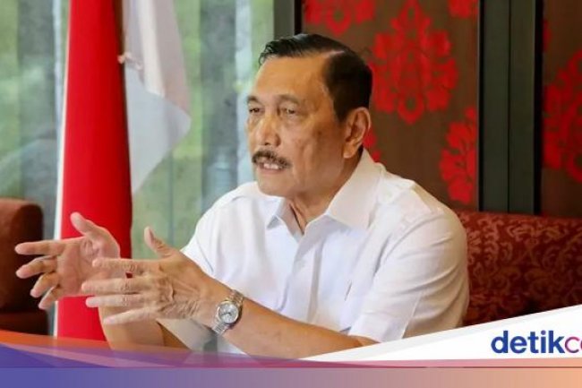 Luhut ke Investor di RI: Kalau Hadapi Masalah, Jangan Ragu Hubungi Saya