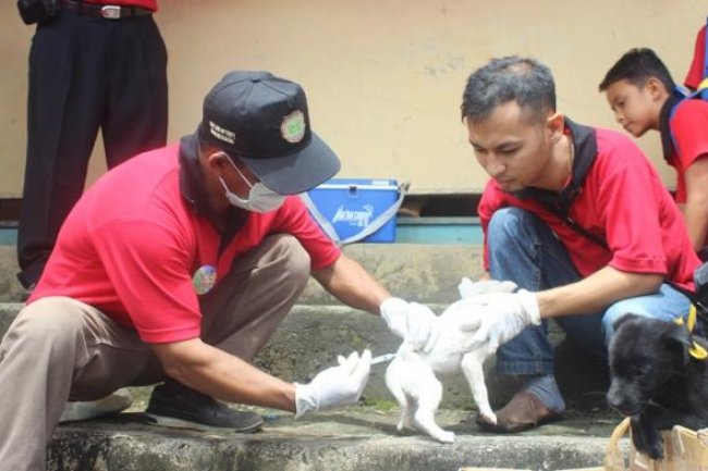 Empat Warga di Singkawang Digigit Anjing Terindikasi Rabies, Berikut Penjelasan Dinas Kesehatan
