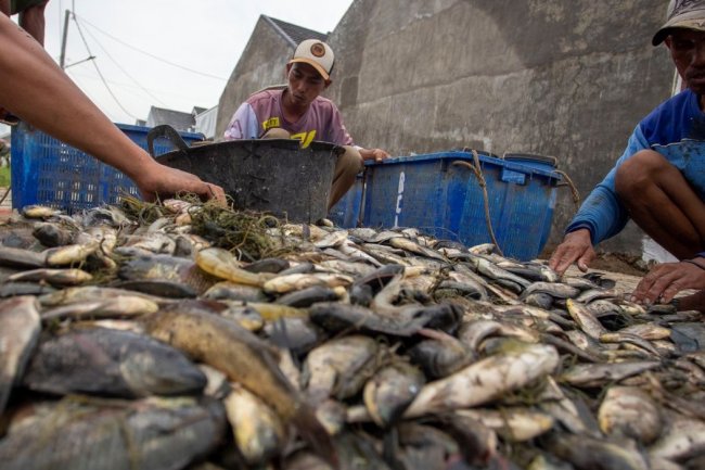 13 Makanan Kandung Vitamin B yang Harus Anda Konsumsi Sekarang