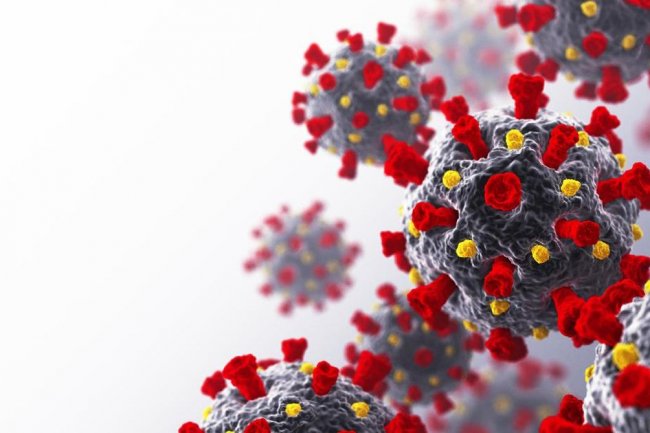 Mengenal HKU5-CoV-2, Virus Mirip Covid-19 yang Ditemukan di China