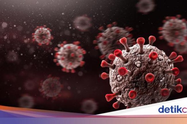 Sama-sama dari Kelelawar, Ahli Ungkap Perbedaan HKU5-CoV-2 dan SARS-CoV-2