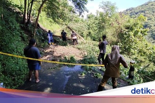 Tebing Setinggi 50 Meter Longsor, Jalan Antarkalurahan di Bukit Menoreh Putus