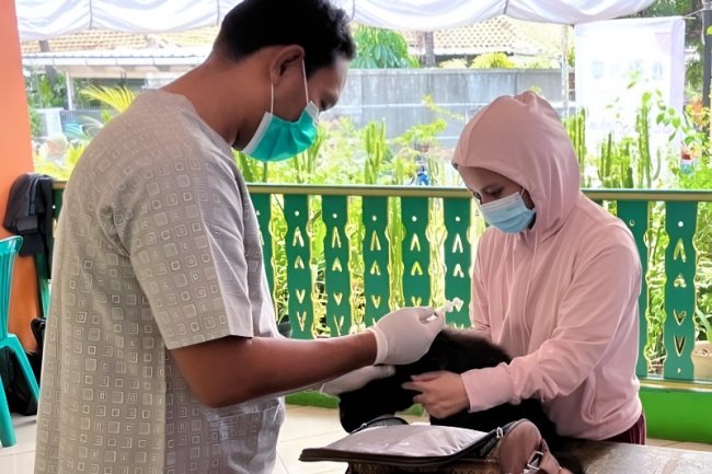 Puluhan HPR di Pejaten Barat Divaksin Rabies Gratis