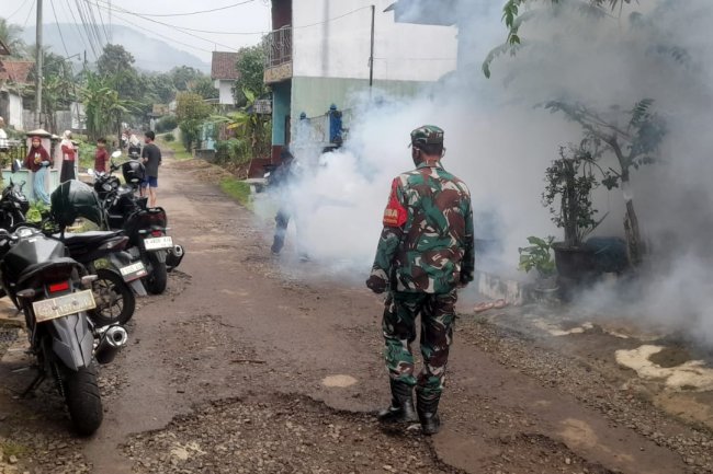 Cegah Penyebaran Populasi Nyamuk Aedes Aegypti, Babinsa Salebu Dampingi Fogging