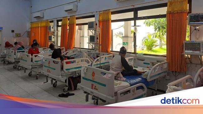 Angka DBD RI Ngegas di Awal 2025, Kemenkes Catat 10 Ribu Kasus-48 Kematian