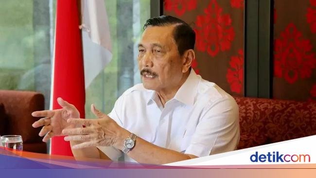 Luhut ke Investor di RI: Kalau Hadapi Masalah, Jangan Ragu Hubungi Saya