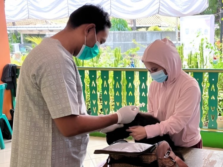 Puluhan HPR di Pejaten Barat Divaksin Rabies Gratis