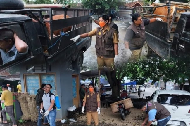 Cegah Penyebaran PMK, DP4 Blora Lakukan Skrining dan Desinfeksi di Pasar Hewan Pon