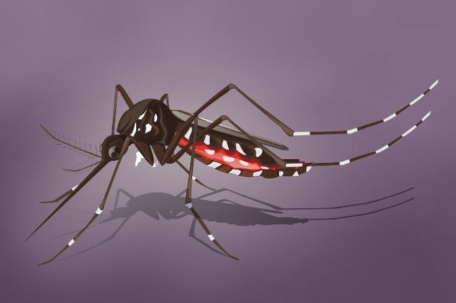 Kasus DBD di Jakpus Capai 138, Cempaka Putih Tertinggi