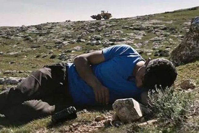 Sinopsis No Other Land, Film Palestina Menangi Oscars 2025 Tayang di Bioskop
