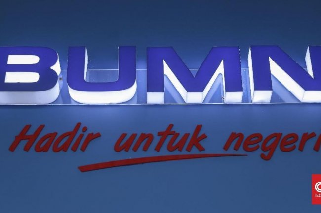 Danareksa Sebut Masih Ada 15 BUMN yang Sakit, Apa Saja?