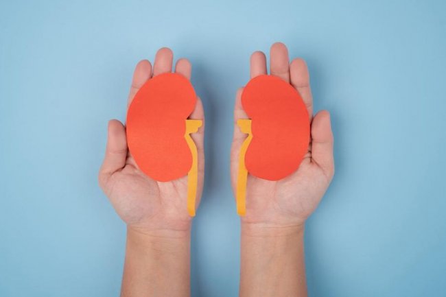 Pasien Cuci Darah di Indonesia Meningkat, Capai 134 Ribu di 2024