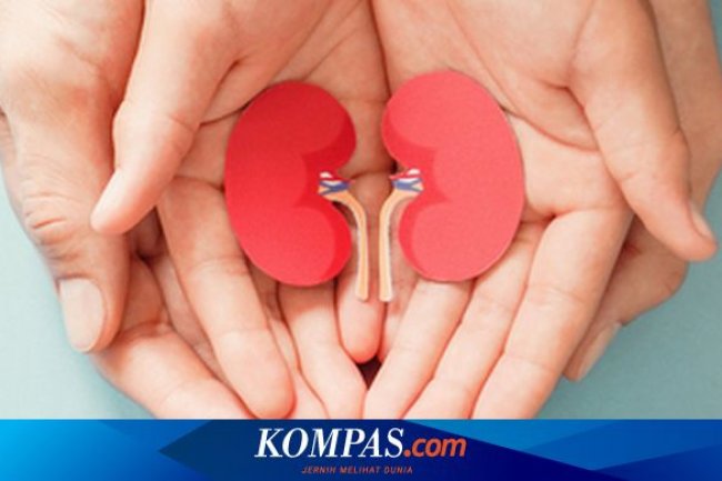 Menjaga Fungsi Ginjal pada Pasien Diabetes Tipe 2