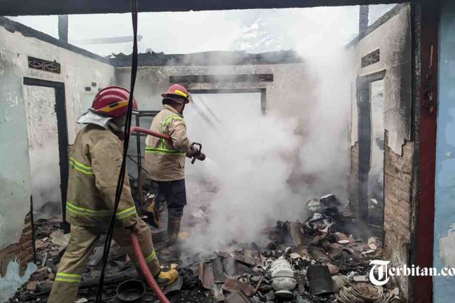 Si Jago Merah Mengamuk, Rumah di Sawahan Madiun Dilalap Api