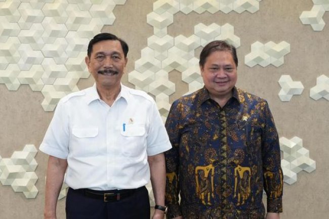 Diam-Diam, Luhut & Airlangga Bentuk Tim Khusus Penghambat Investasi RI