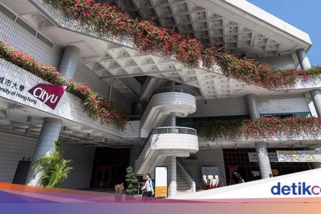 Hong Kong Jadi 'Gudang' Kampus Paling Internasional Versi THE