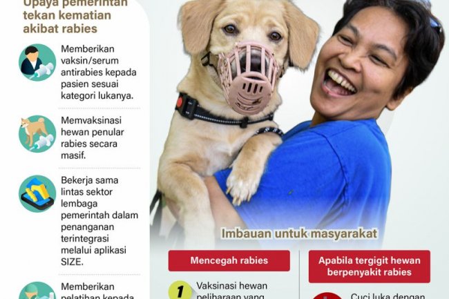 Menuju Indonesia bebas rabies