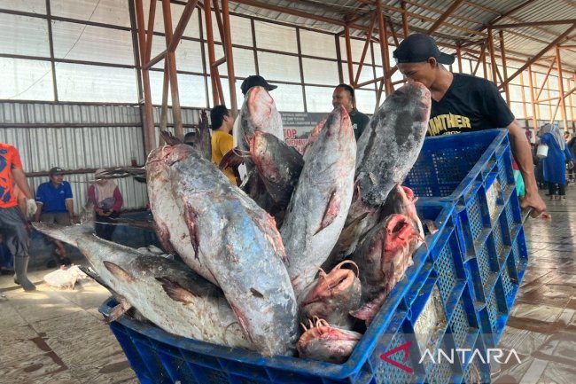 KKP tekankan PIT kunci produk perikanan tembus pasar internasional