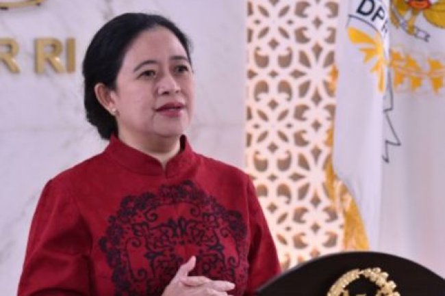 DPR minta negara dapat terus hadir sebelum masalah viral