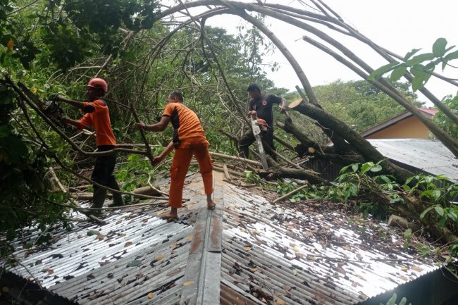 Hujan dan Angin Kencang Terjang Kota Padang: Pohon Tumbang, 18 Rumah Rusak, dan Longsor di Dua Lokasi