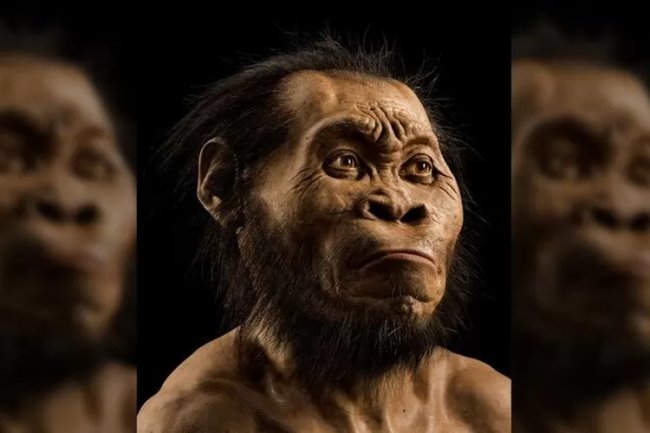 Bukti Terbaru Tunjukkan Homo Naledi dengan Otak Kecil Sudah Menguburkan Jenazah di Afrika Selatan 250.000 Tahun Silam