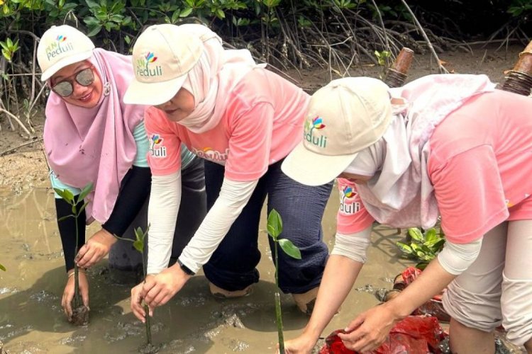 PLN terapkan kesetaraan gender dan inklusifitas di lingkungan kerja berstandar internasional - ANTARA News Bangka Belitung