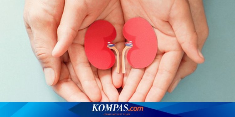 Menjaga Fungsi Ginjal pada Pasien Diabetes Tipe 2