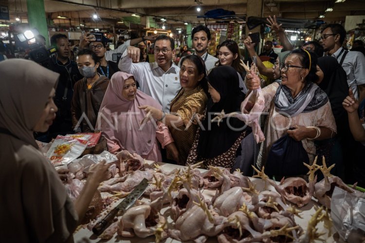 Mendag tinjau harga pangan jelang lebaran