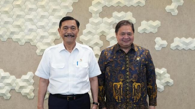 Diam-Diam, Luhut & Airlangga Bentuk Tim Khusus Penghambat Investasi RI