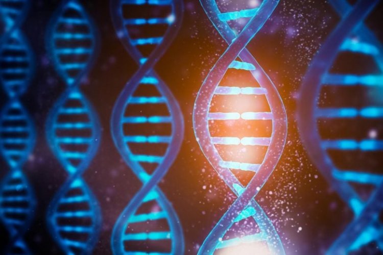 Para Ilmuwan Menangkap DNA Yang Tidak Terkendali Untuk Pertama Kalinya