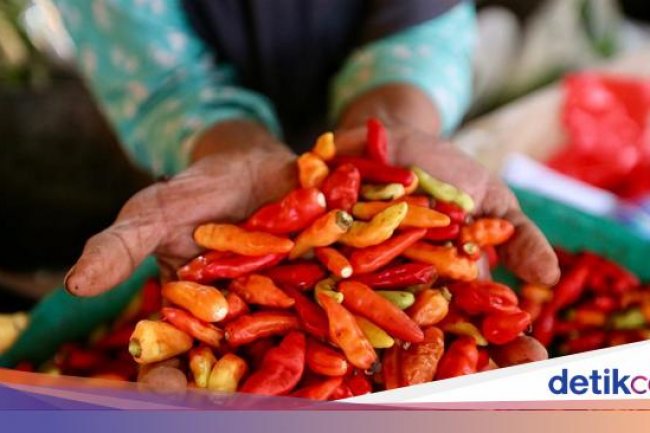 Biang Kerok Harga Cabai Merah Tembus Rp 100 Ribu/Kg