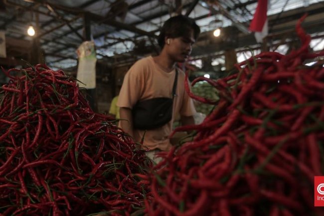 Harga Cabai Lompat Hingga Rp150 Ribu per Kg di Jakarta