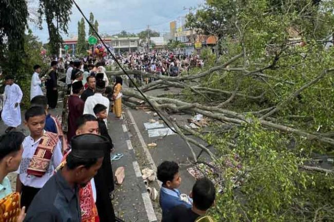 Pohon Tumbang di Tengah-tengah Shalat Ied di Pemalang, 3 Orang Meninggal Dunia