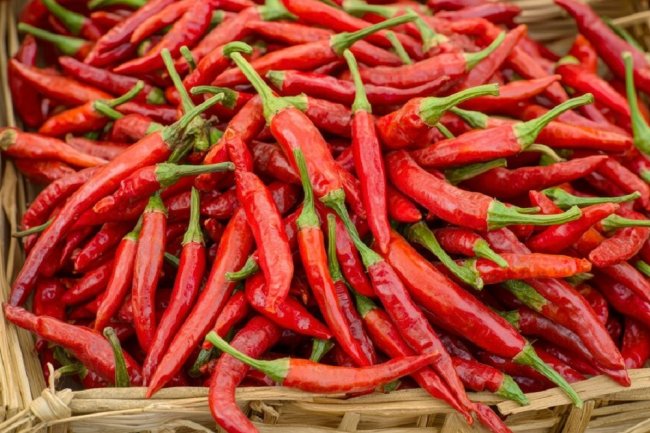 Harga Cabai Semakin Pedas