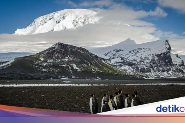 Tarif Trump Sasar Semua Tempat, Bahkan Pulau yang Cuma Dihuni Penguin