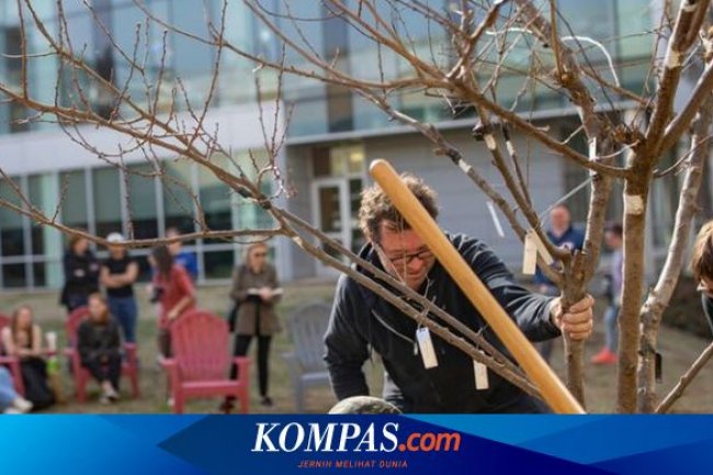 Pohon dengan 40 Jenis Buah di Philadelphia, Paduan Seni dan Pertanian