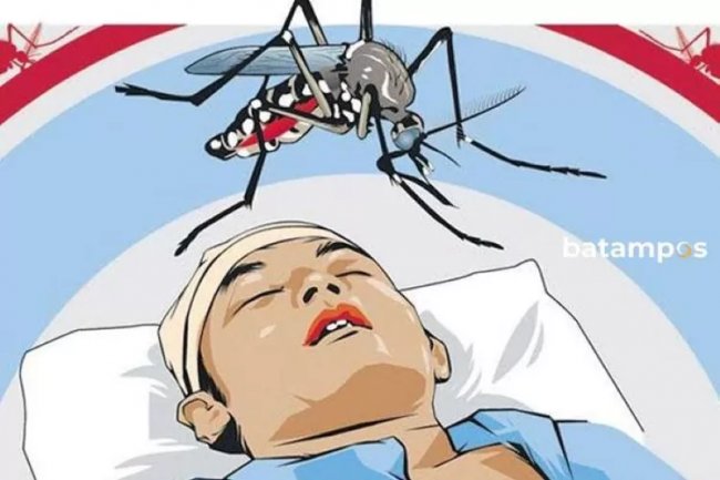 Waspada DBD! Lubuk Baja Tertinggi, Kasus di Batam Tembus 159