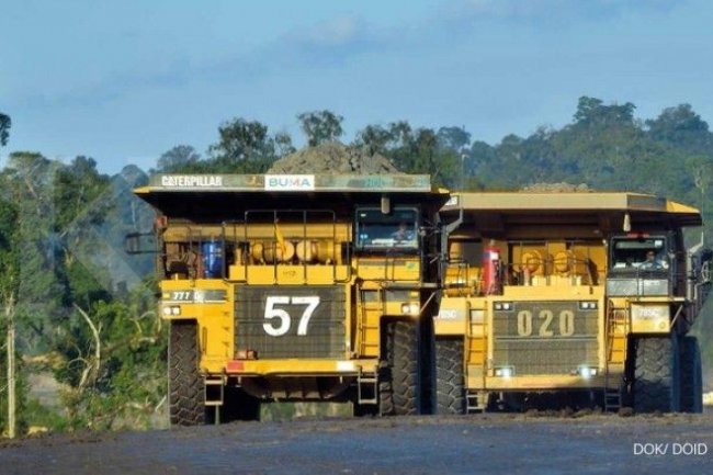 BUMA Internasional Grup (DOID) Cetak Kinerja Kurang Memuaskan di 2024