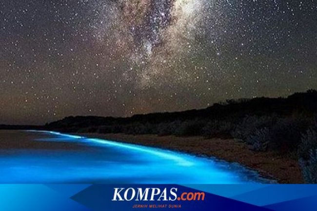 Misteri Milky Seas: Mengapa Lautan Kadang Terlihat Bercahaya?