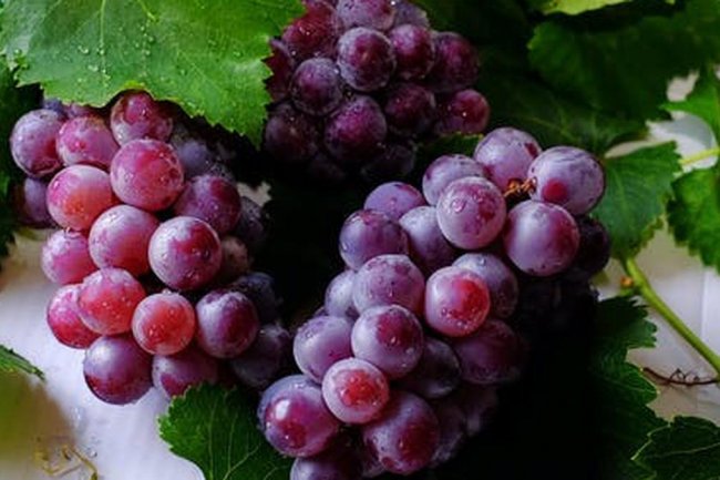 10 Manfaat Kulit Anggur yang Ternyata Mampu Turunkan Kolesterol hingga Jaga Kesehatan Jantung