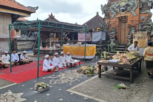 WNA Bulgaria Buat Keributan saat Tawur Kasanga di Tumbak Bayuh Minta Maaf dan Jalani Sanksi Adat -