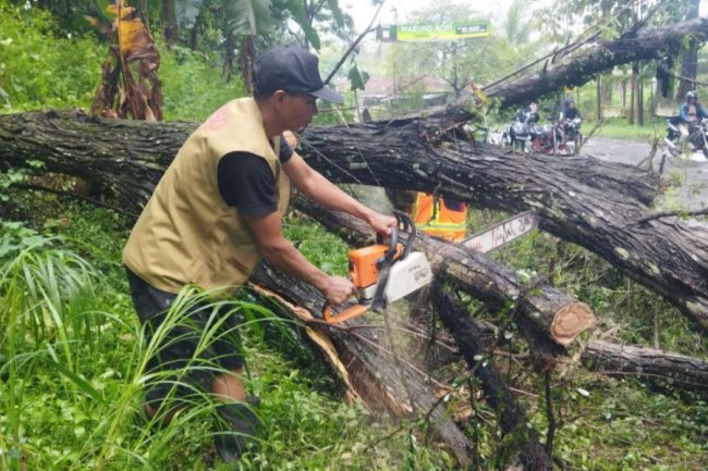 BPBD catat Malang dilanda 164 bencana alam hingga April - ANTARA News Jawa Timur