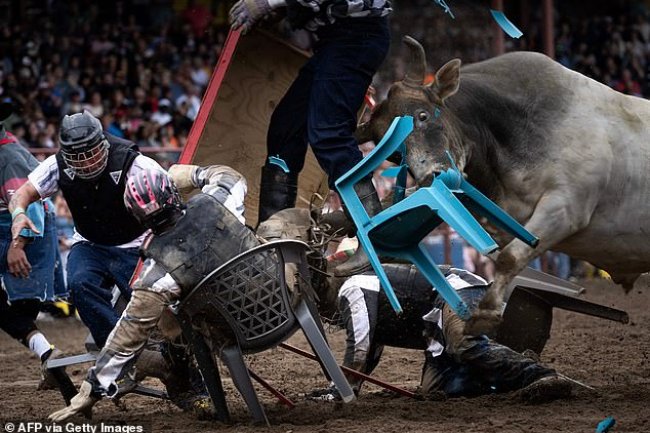 Peristiwa Negara Bagian Merah Aneh di mana penjahat serius bisa terluka parah dengan mengamuk hewan