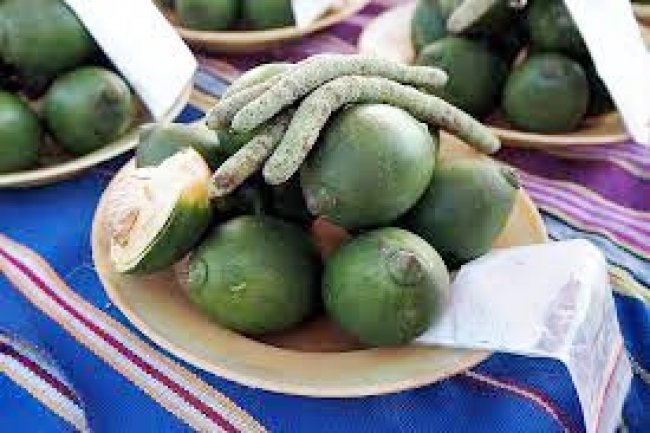 Pinang Menjadi Satu Penyebab Kanker Mulut