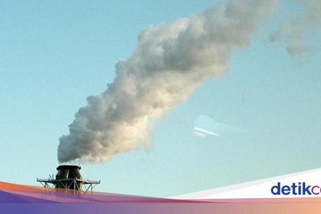 Pelonggaran TKDN Bisa Jadi 'Misi Bunuh Diri', Pengamat Ingatkan Hal Ini