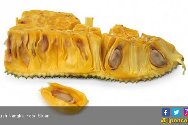 5 Manfaat Nangka, Cegah Anemia Menyerang Anda