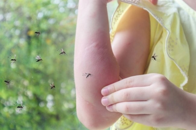 Anak Rentan Terkena Malaria, Ini Penjelasan Dokter dan Tips Pencegahannya
