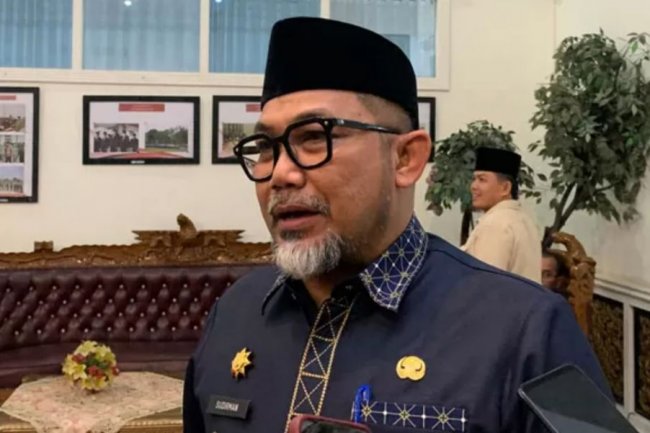 Ada Investor Tertarik Bangun Bandara Bertaraf Internasional di Pesisir Jambi